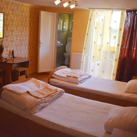 Muntele Gaina Guest house *