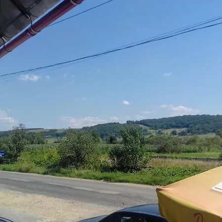 Muntele Gaina * Halmagiu
