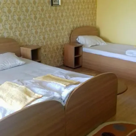 Muntele Gaina Guest house *