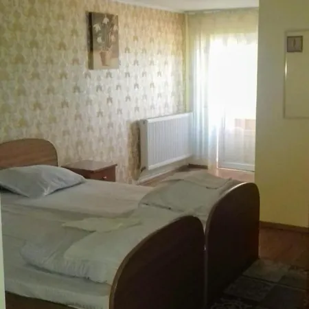 Muntele Gaina Guest house *